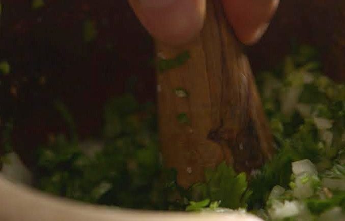 Guacamole 2