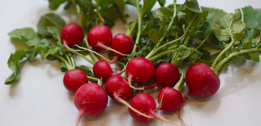 Radishes 1B