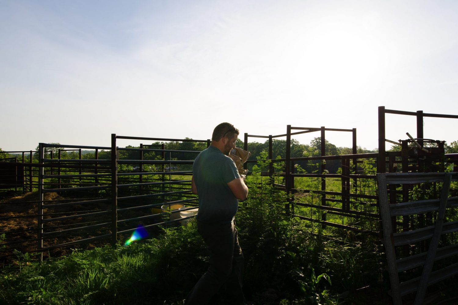 Volpi Foods Our Food Philosophy Newman Farm374 scaled