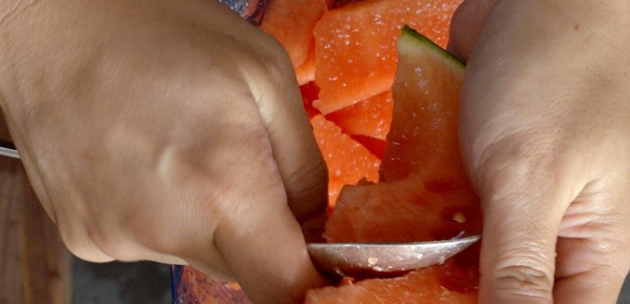 Watermelon Margarita 1